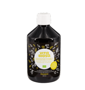 VitaBiosa Zenzero 500ml tonico fermentato biologico