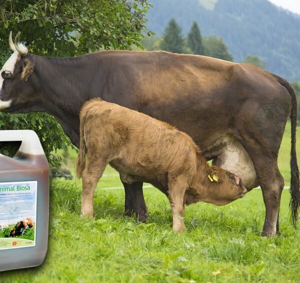 Biosa Animal 5lt
